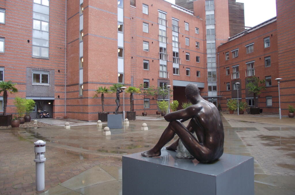 Flat Sheepcote Street (BUS GATE) in Birmingham