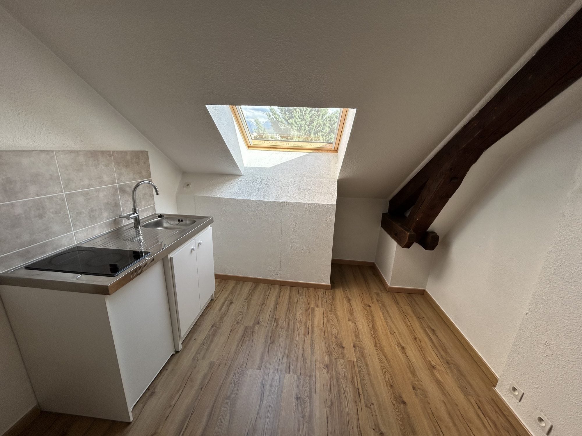 Flat Chemin Meney in Grenoble