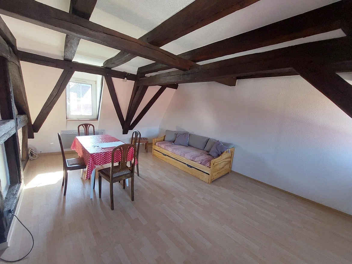 Appartement Impasse Fleckenstein à Haguenau