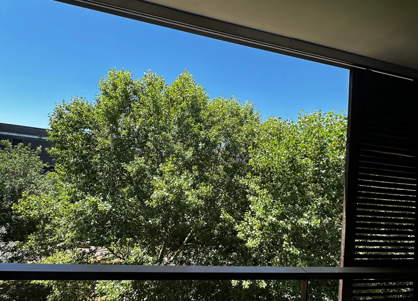 Appartement Avenue Georges Frêche à Castelnau-le-Lez
