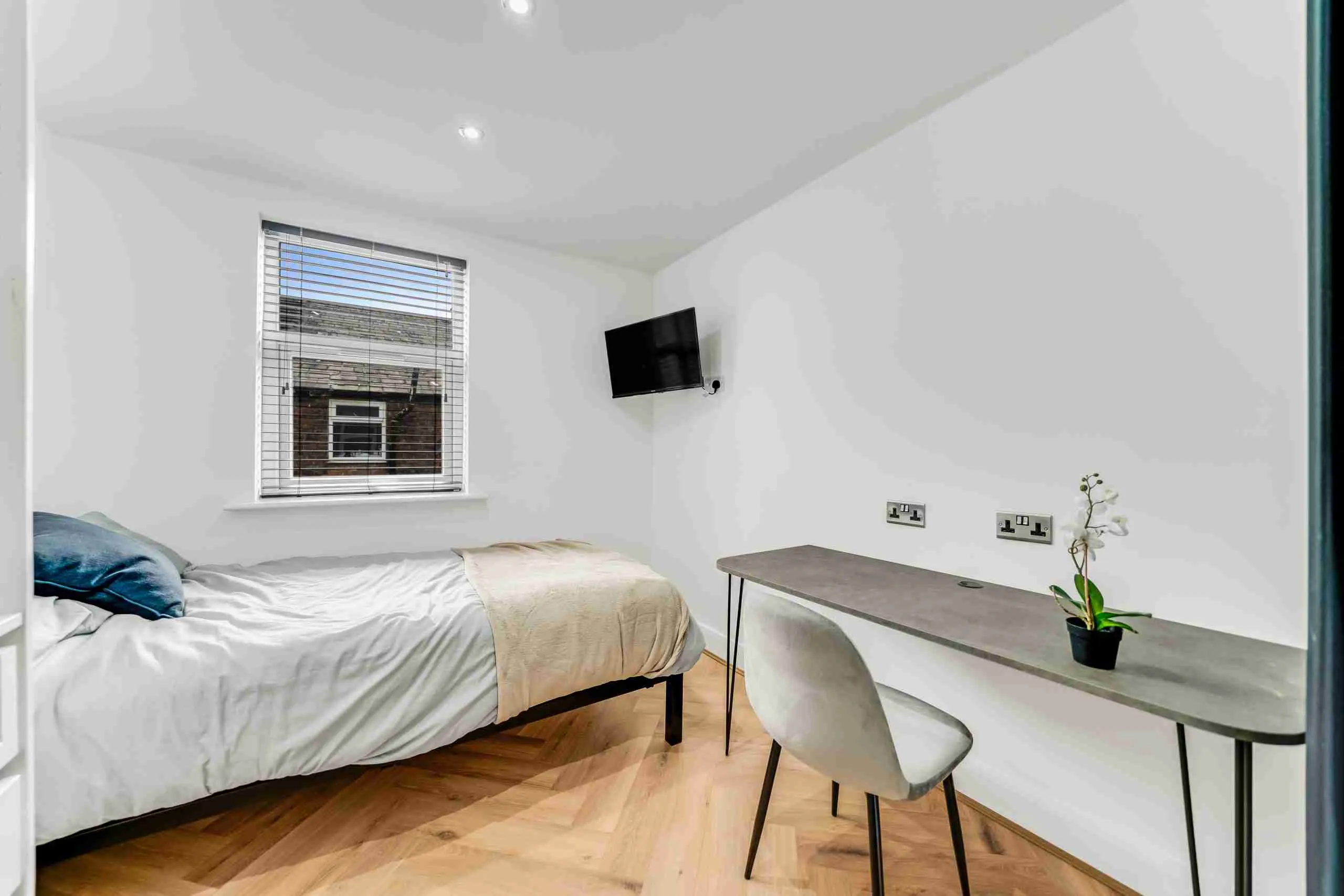 Room Empress Road in Liverpool