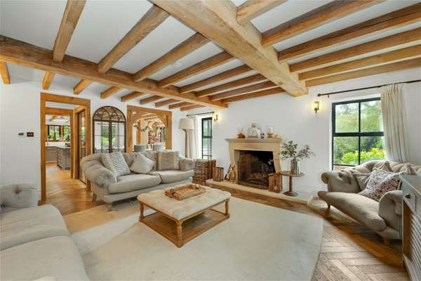 House Dukes Covert in Surrey Heath