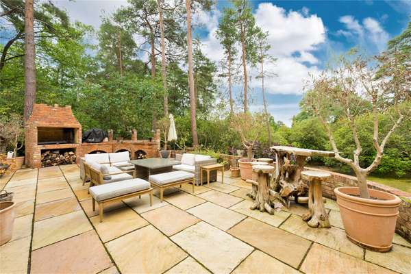 House Dukes Covert in Surrey Heath