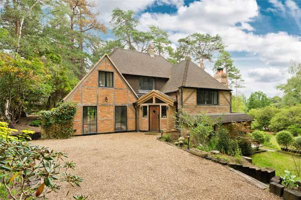 House Dukes Covert in Surrey Heath