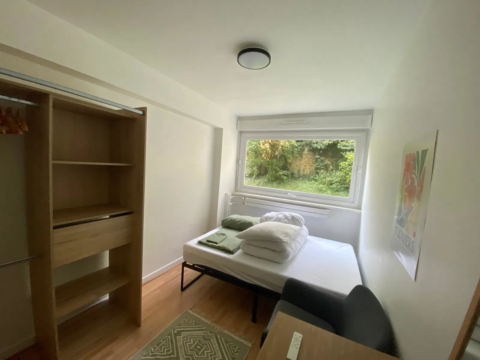 Room Allée des Sycomores in Nancy