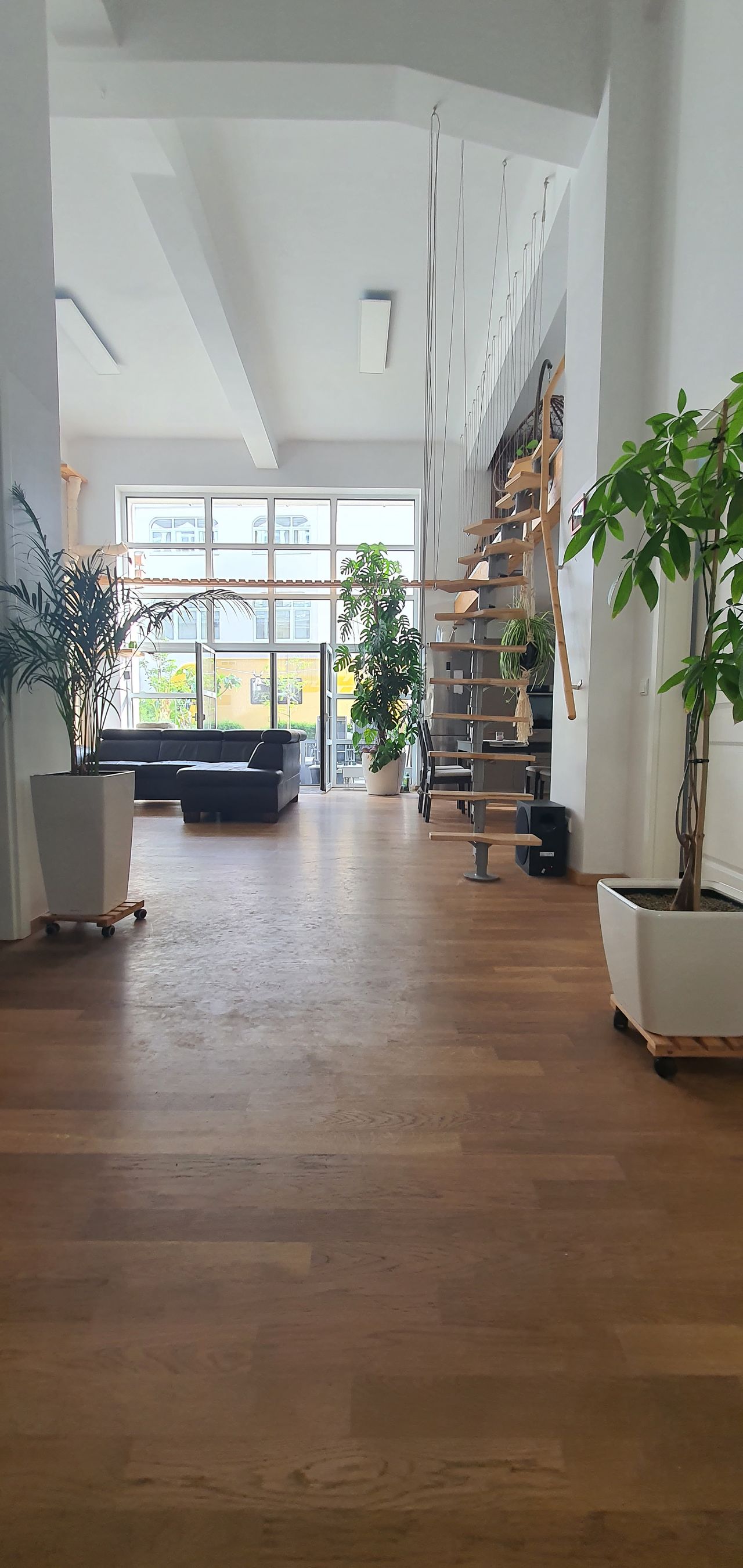 Wohnung Friedrichstraße in Dresden
