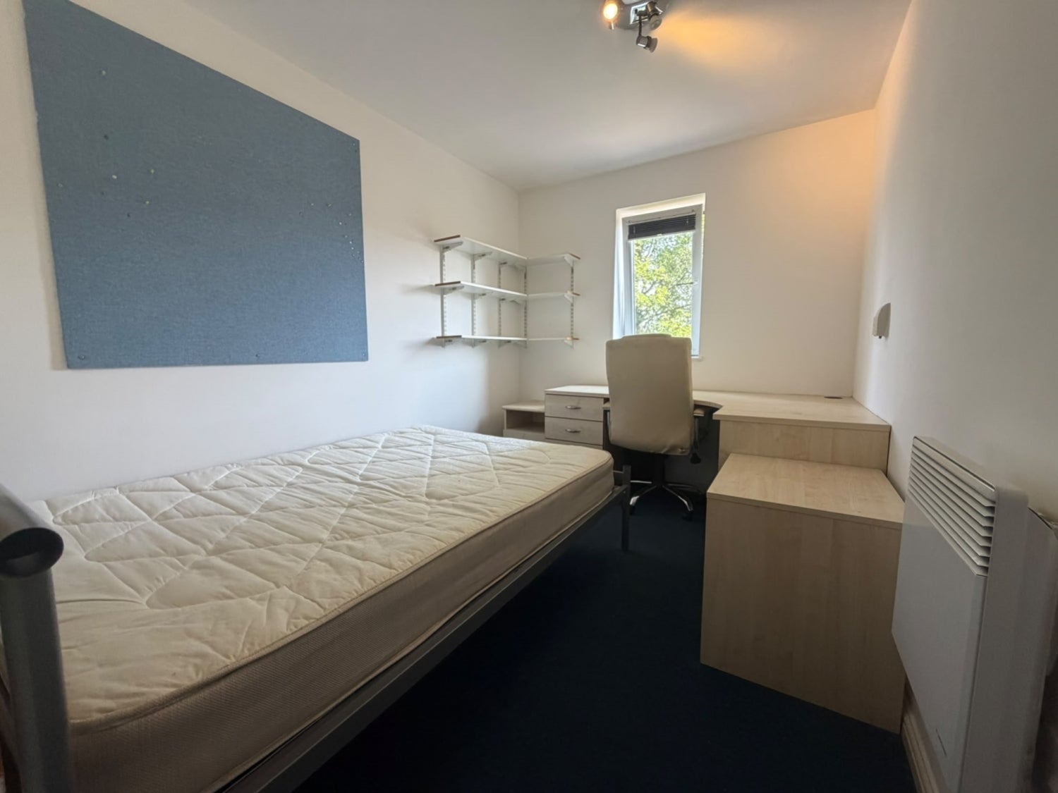Room Gwennyth Street in Cardiff