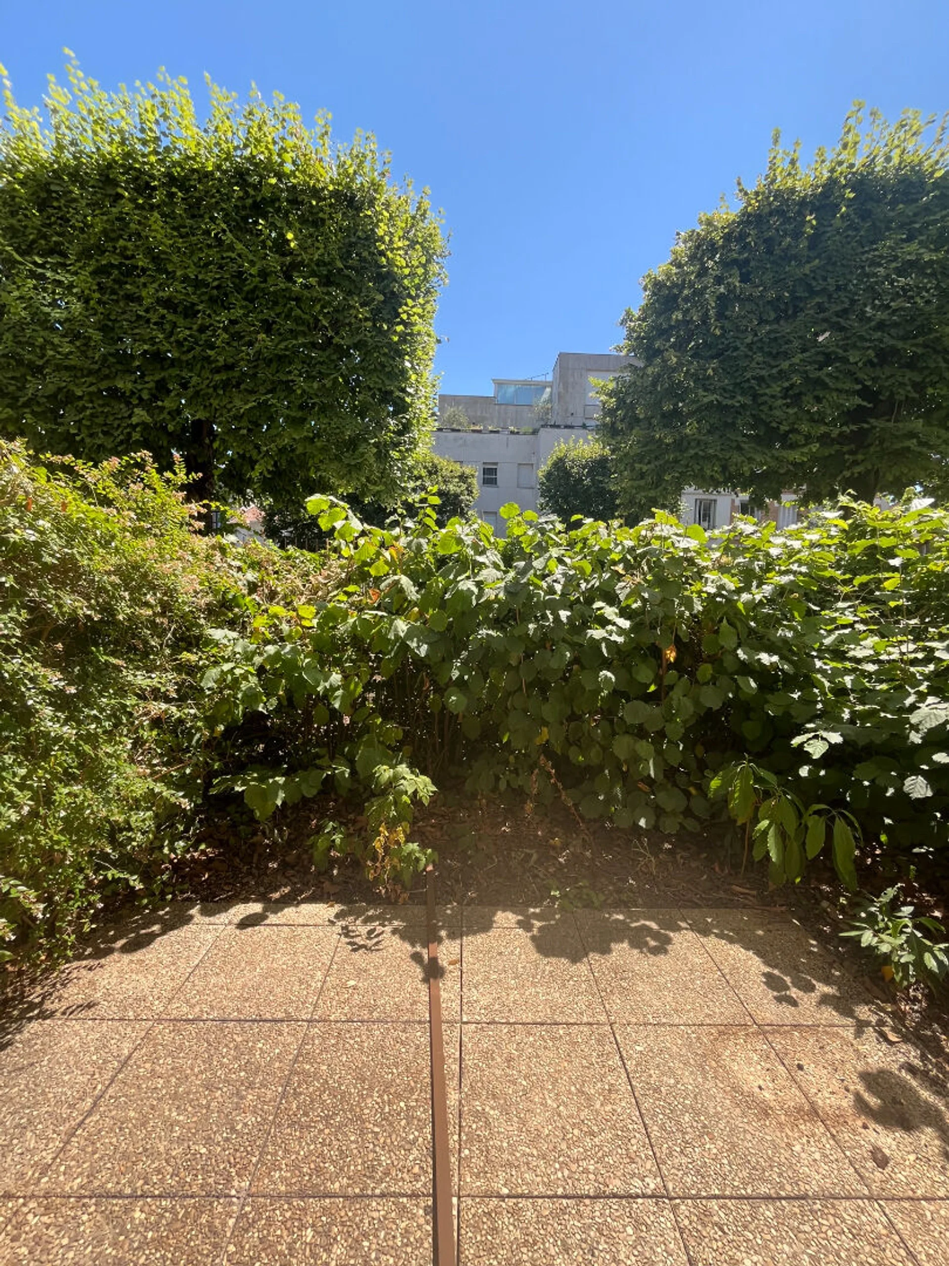 Appartement Rue Pierre Brossolette à Issy-les-Moulineaux