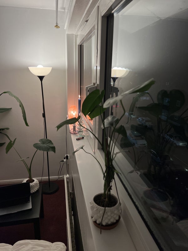 Room Alma Street in Greater London
