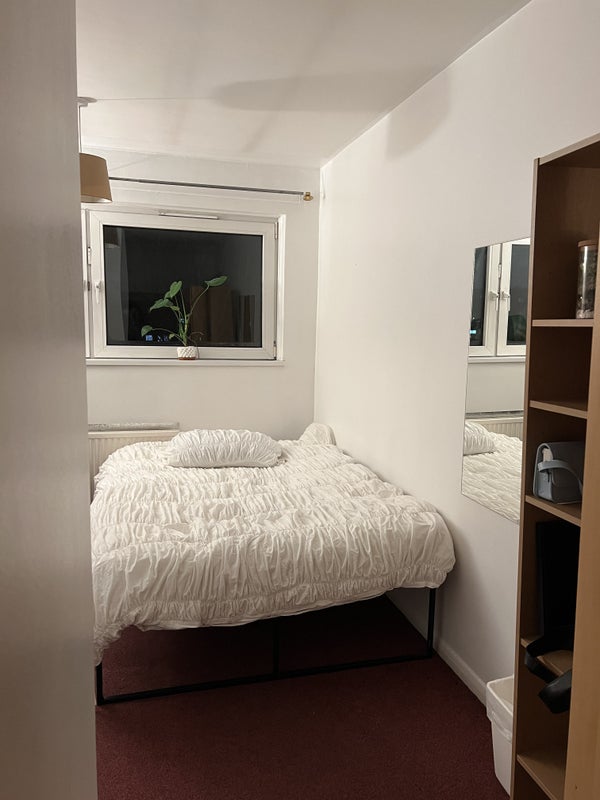 Room Alma Street in Greater London