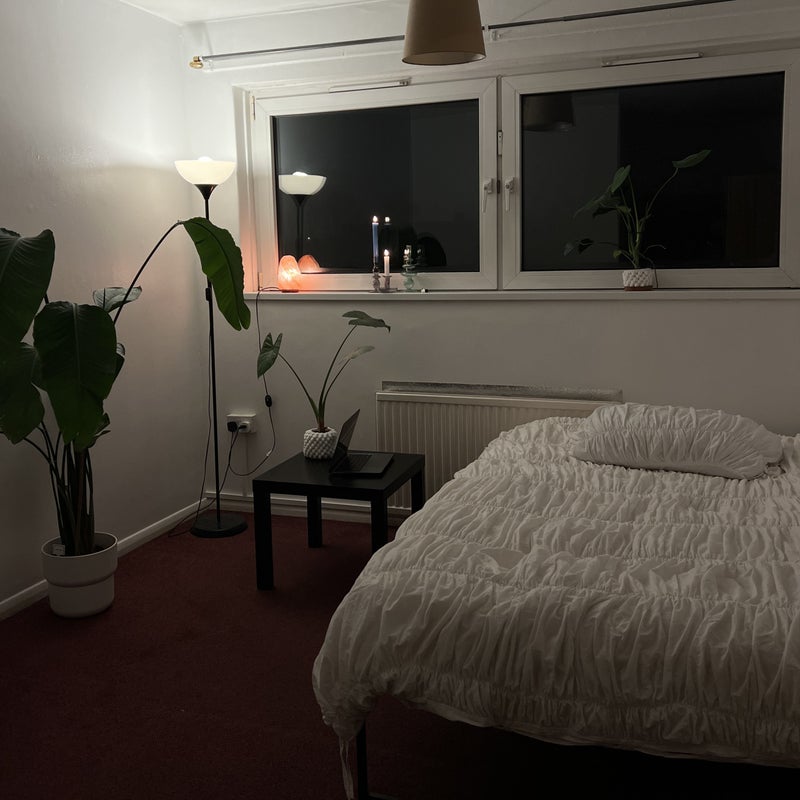 Room Alma Street in Greater London