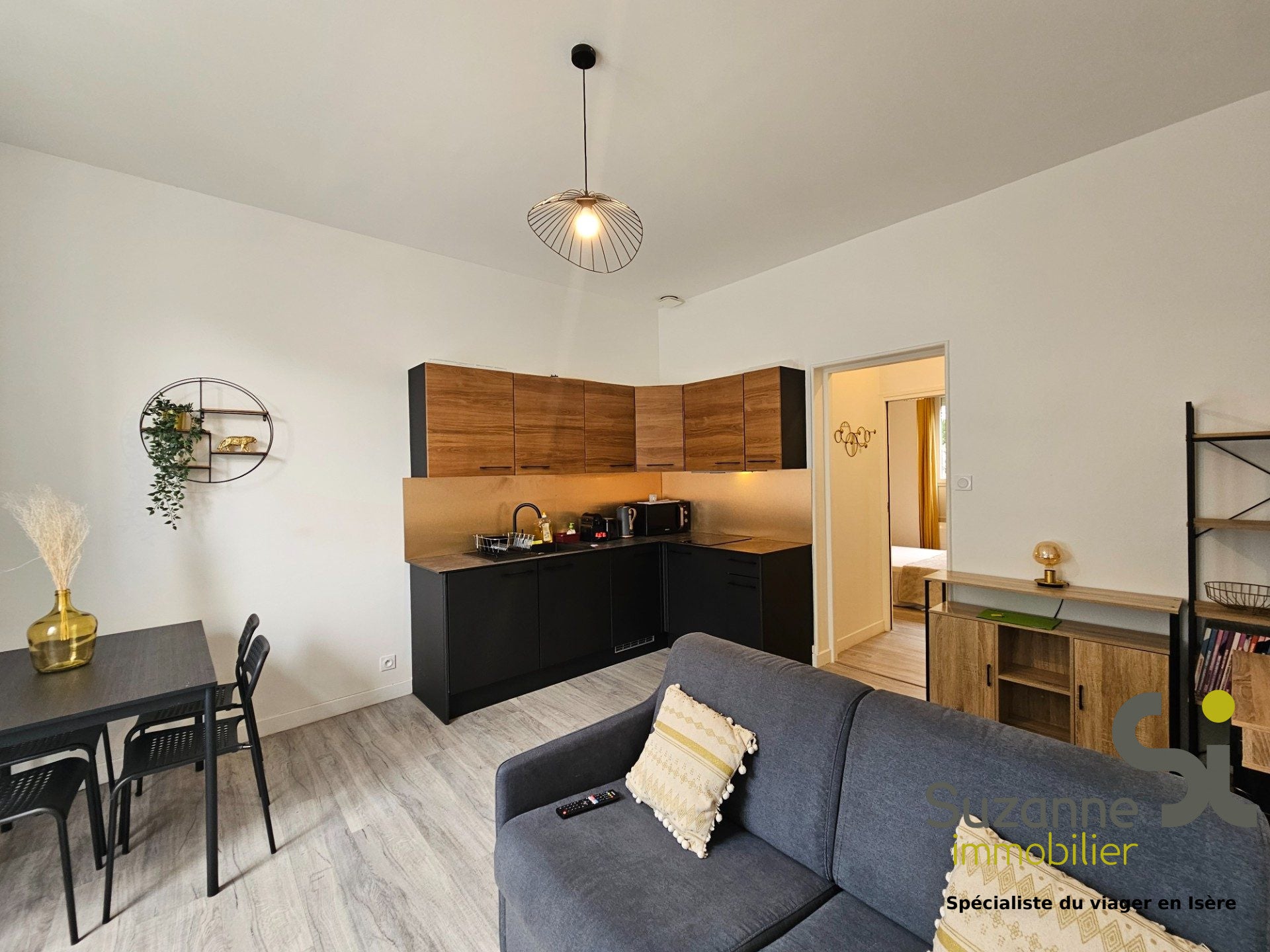 Flat Rue Sully in Grenoble