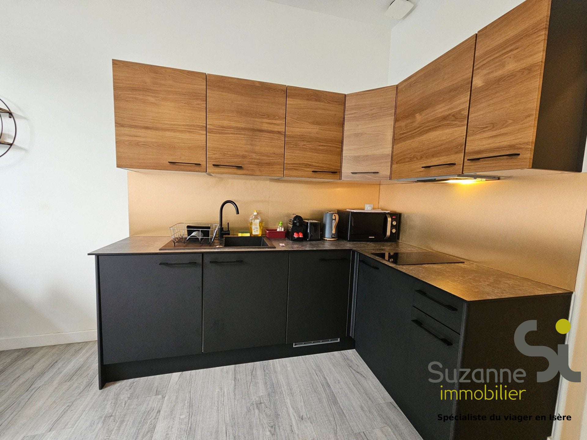 Flat Rue Sully in Grenoble