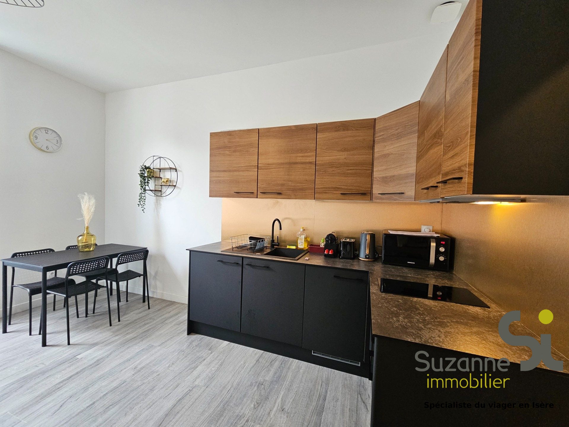 Flat Rue Sully in Grenoble