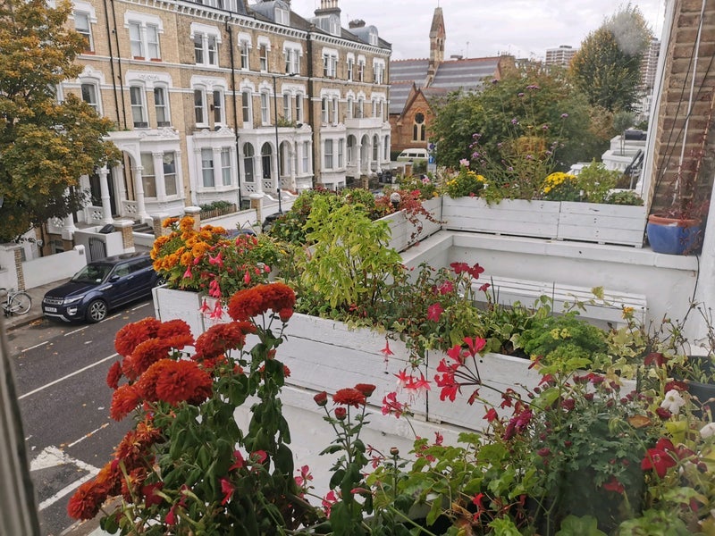 Room Sinclair Road in Greater London