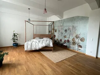 Wohnung Friedrichstraße in Dresden