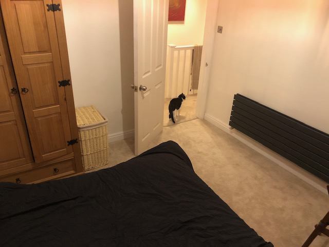 Room Erconwald Street in Greater London