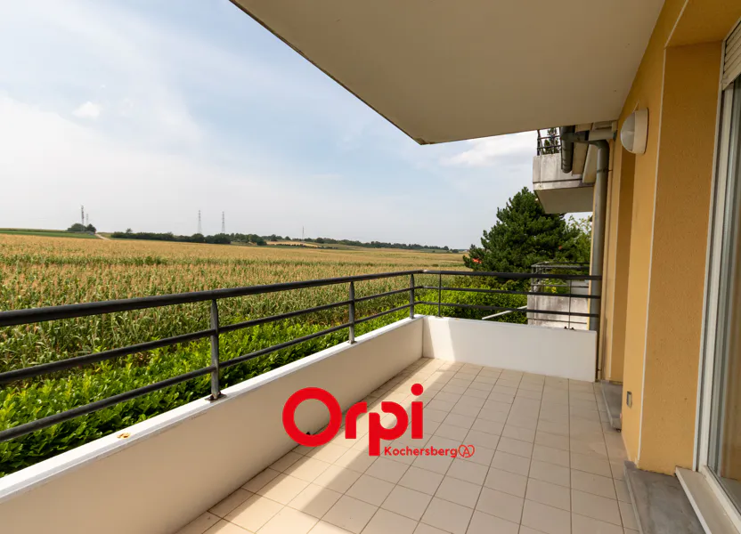 Appartement Rue du Houblon à Lampertheim