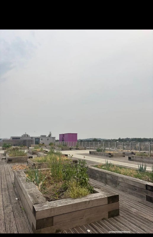 Flat Carriage Way in Greater London