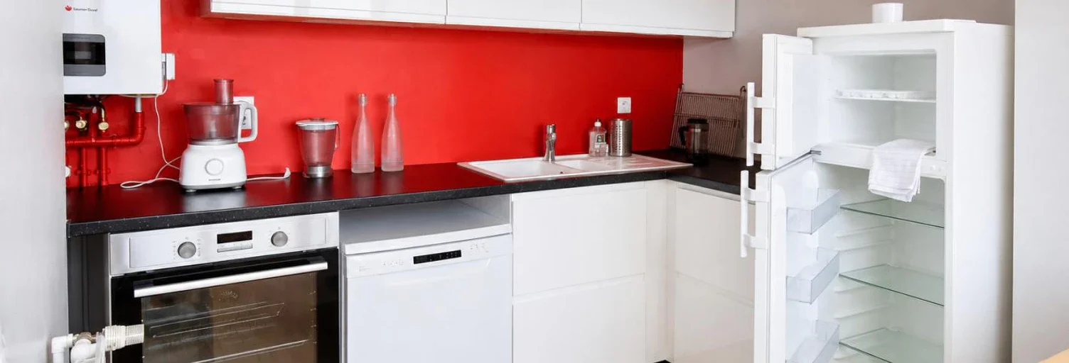 Flat Rue Pierre Dupont in Lyon