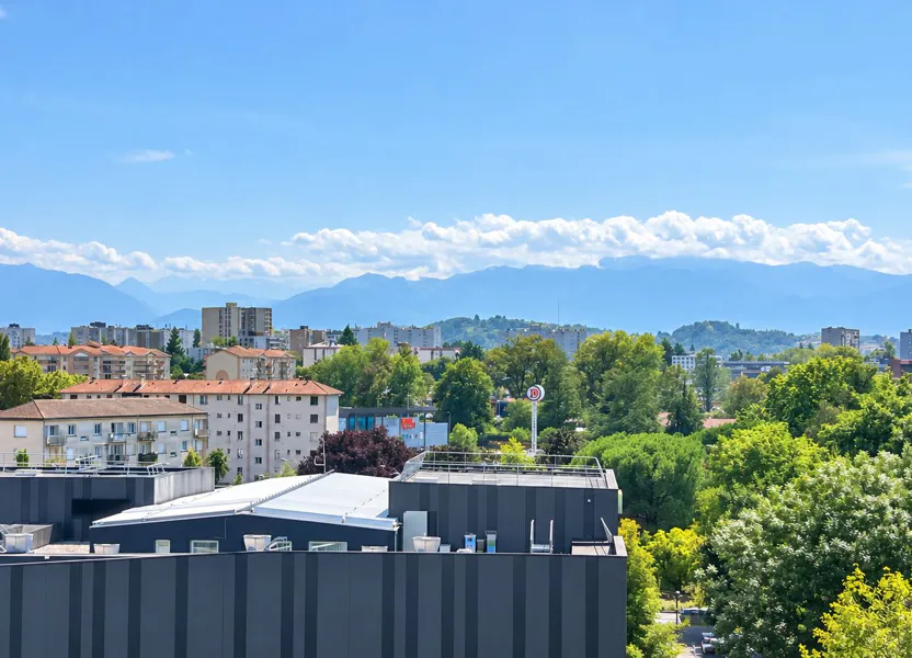 Appartement Rue Raymond Ritter à Pau