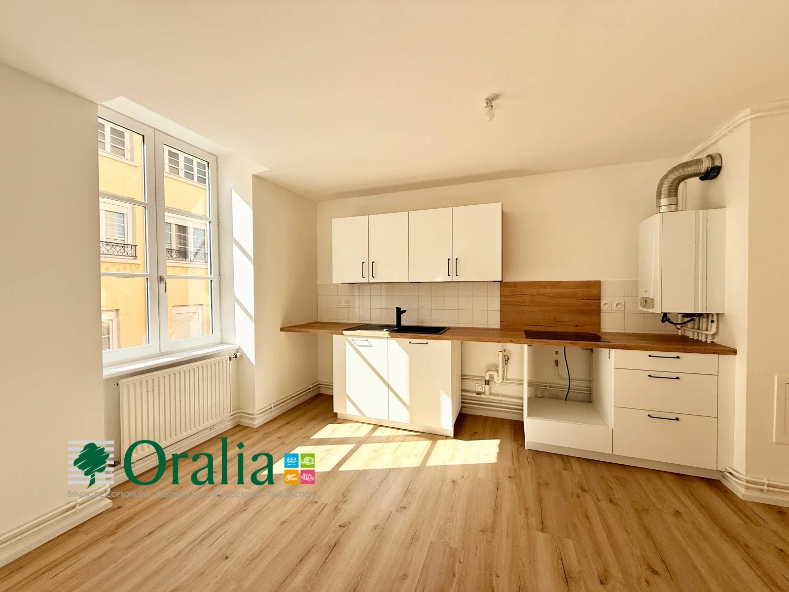 Flat Rue Pelletier in Tarare
