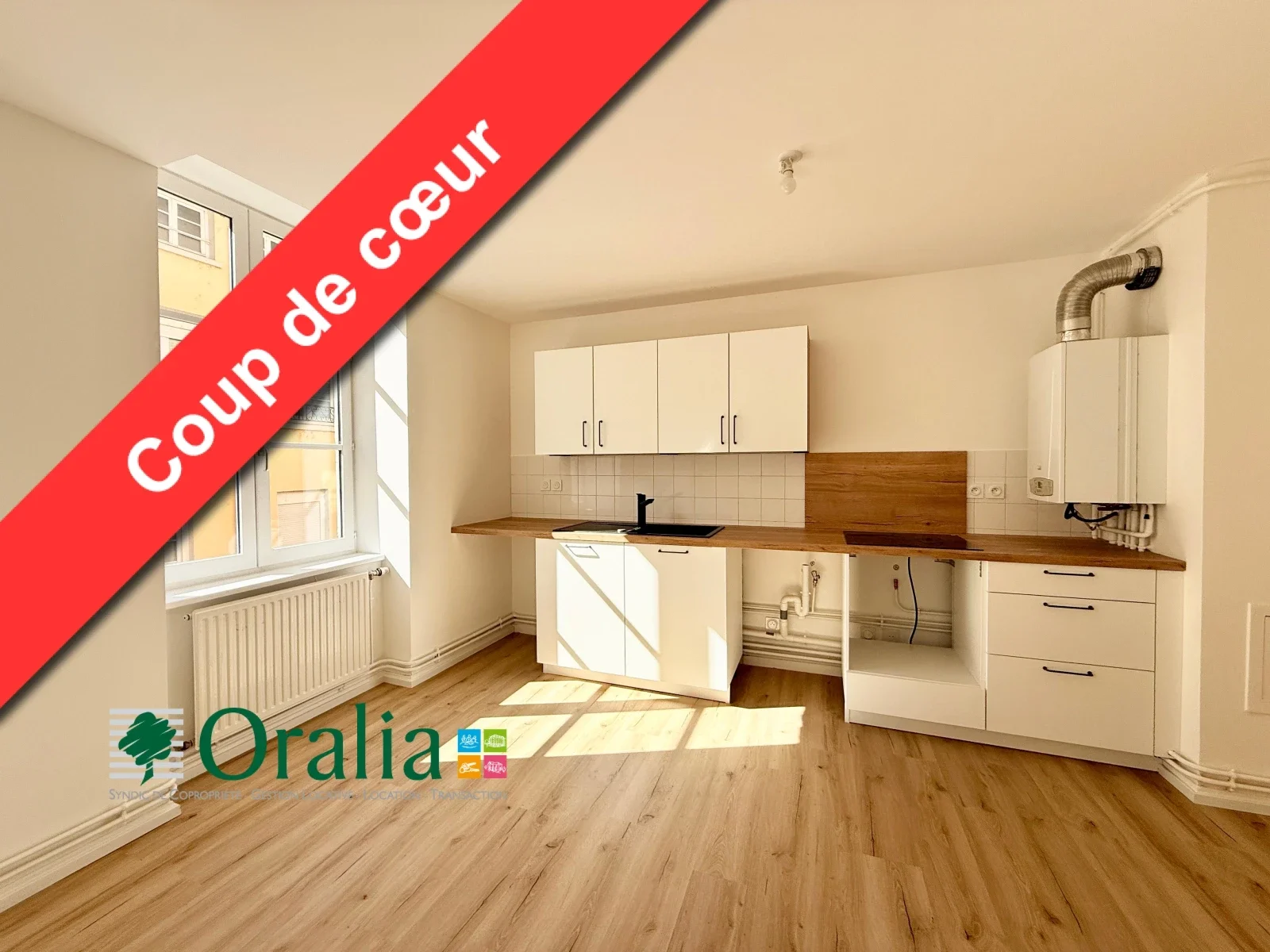 Flat Rue Pelletier in Tarare