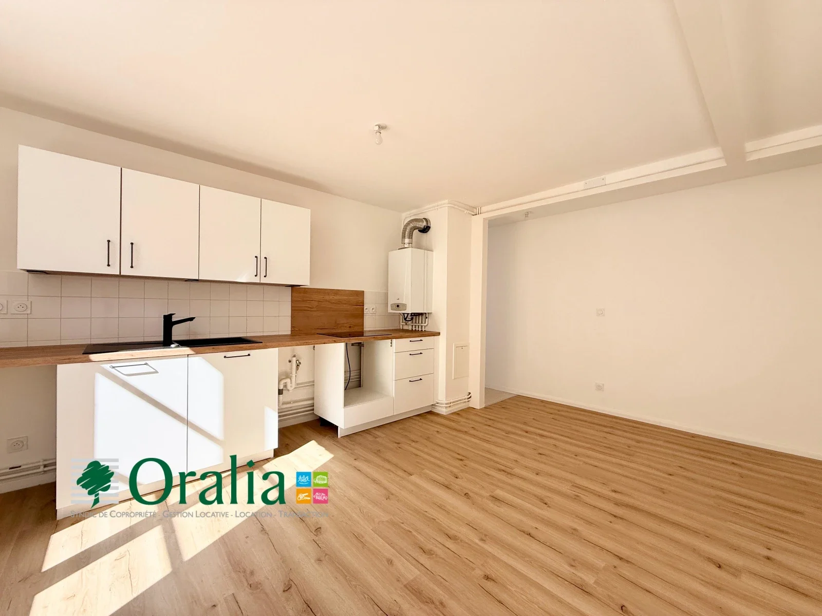 Appartement Rue Pelletier à Tarare