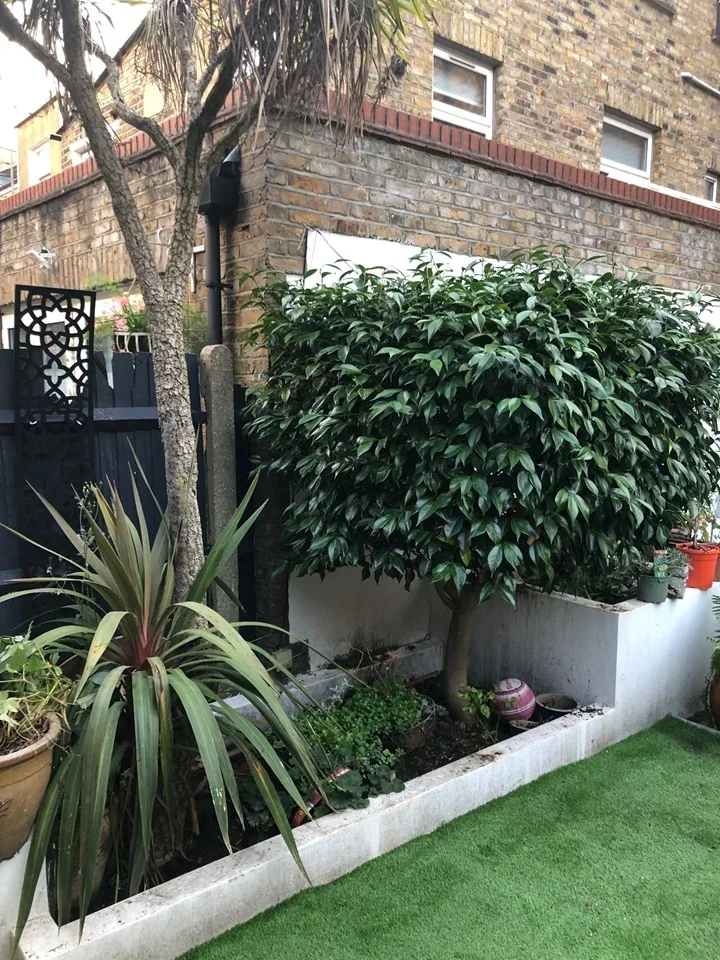 Room Sulgrave Road in Greater London