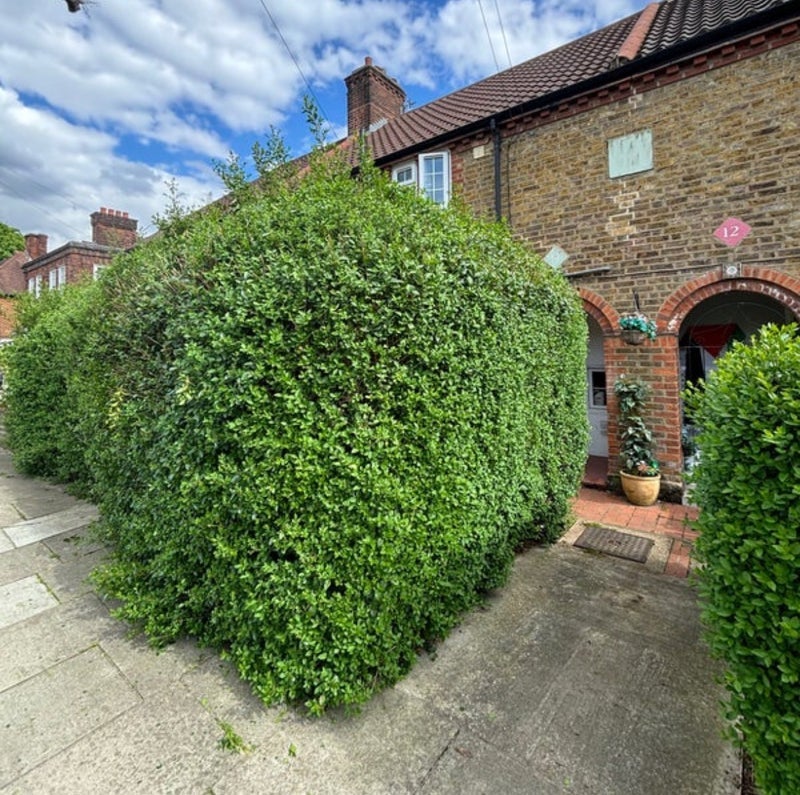 Room Hilary Road in Greater London
