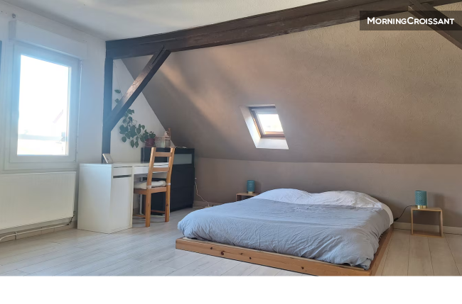 Flat Rue des Aulnes in Strasbourg