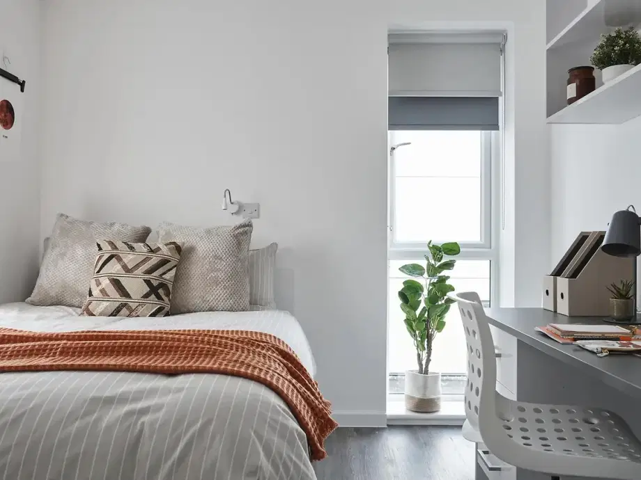 Room Penwerris Lane in Falmouth