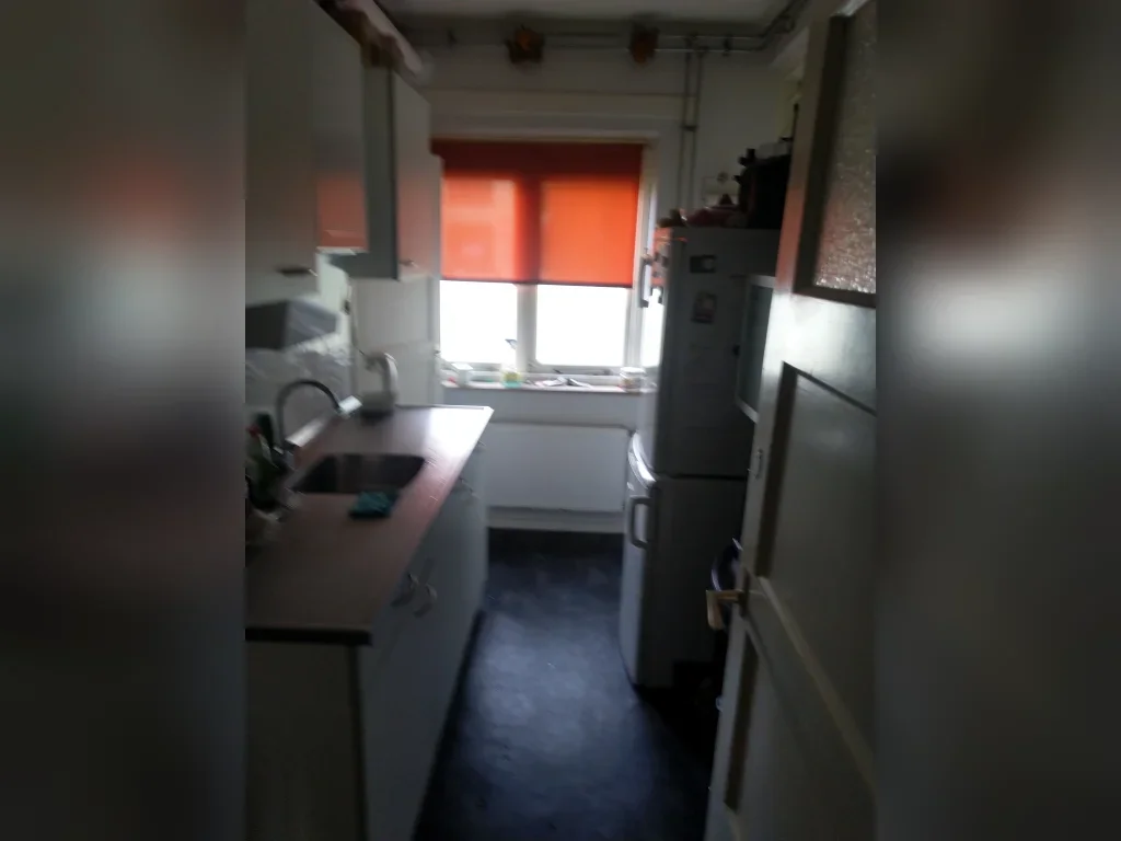 Appartement Genemuidenstraat 3