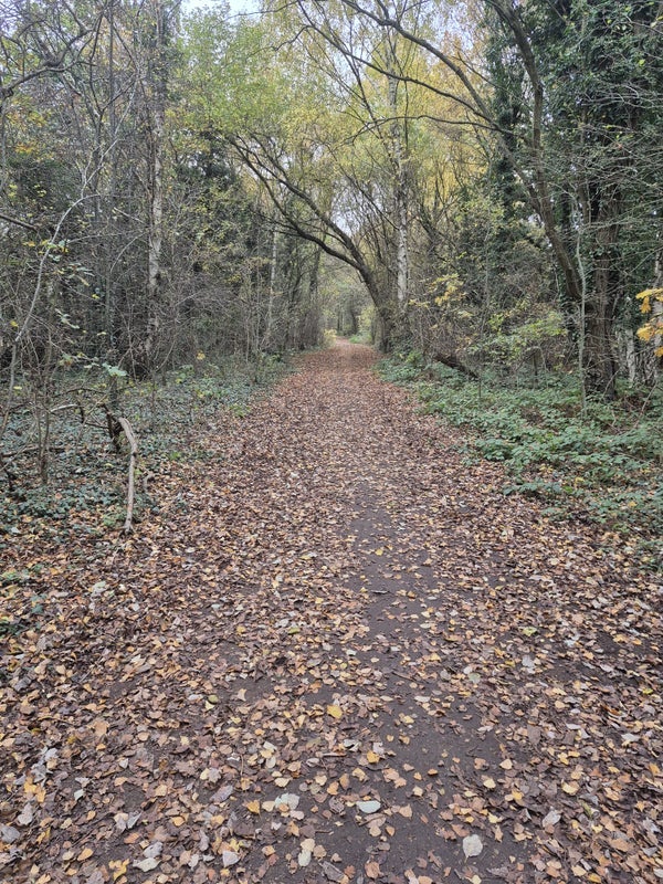 Room Little Oak Wood Drive in Nottingham