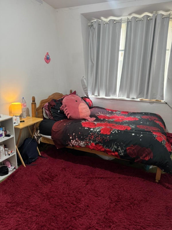 Room Hammersmith Bridge Road in Greater London