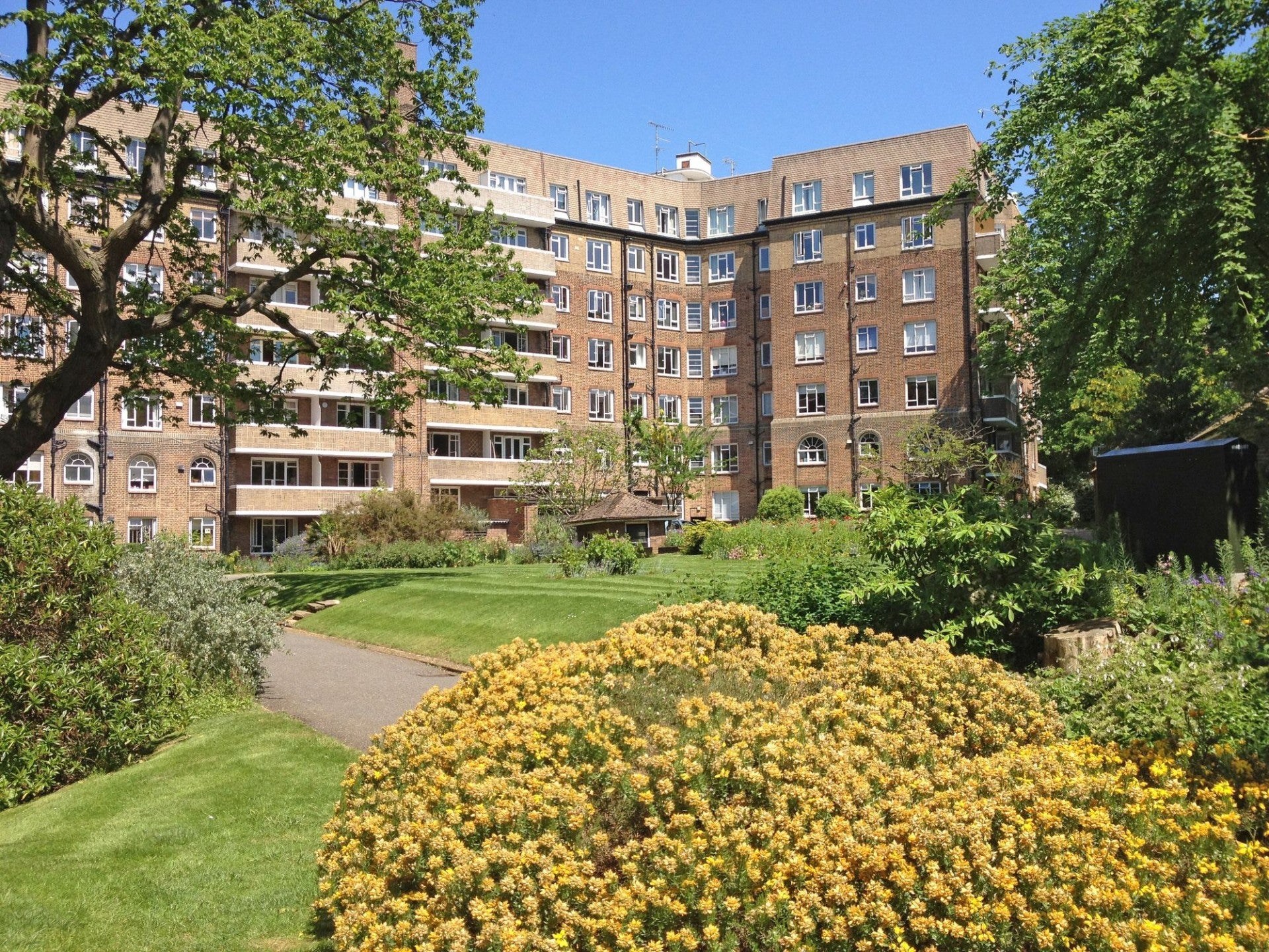 Flat Furze Hill in Hove