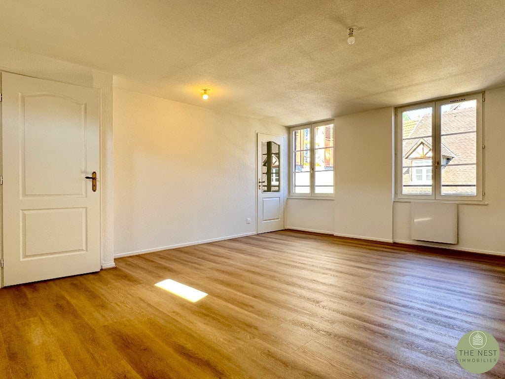 Flat Rue du Conseil Souverain in Colmar