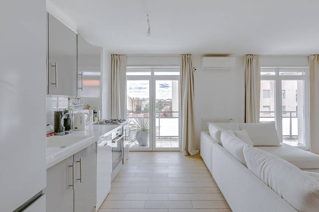 Appartement Avenue Félix Faure à Lyon