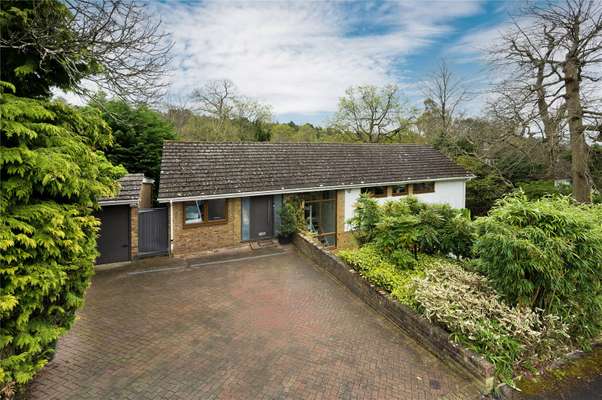 House Lebanon Drive in Elmbridge
