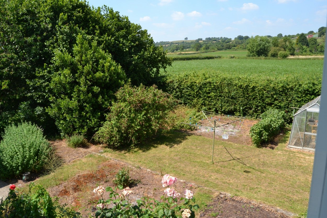 House Ashmoor Drove in Godney