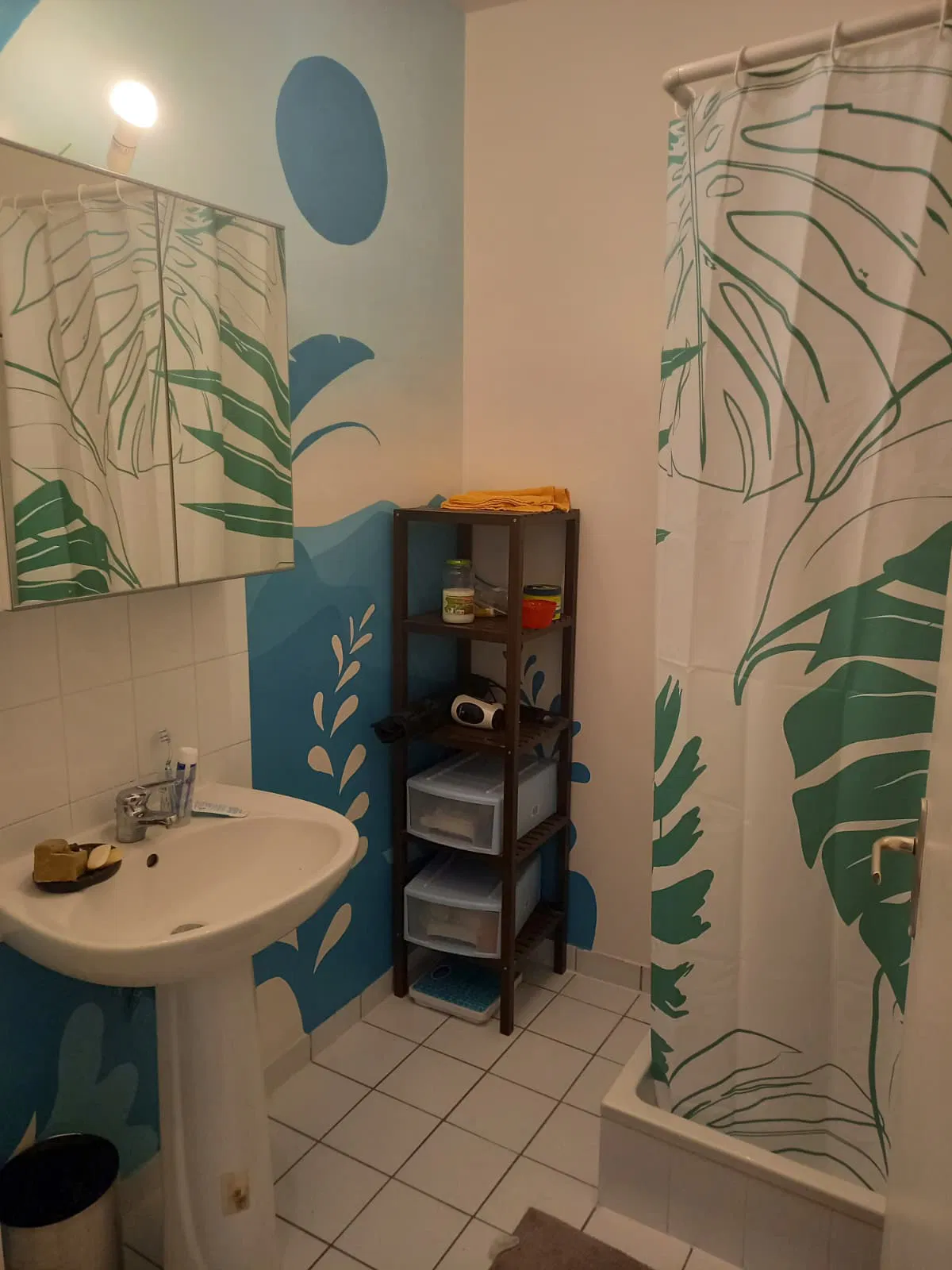 Room Rue de Condé in Lyon