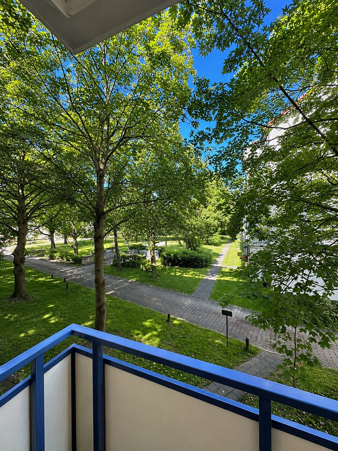 Wohnung Gohrischstraße in Dresden