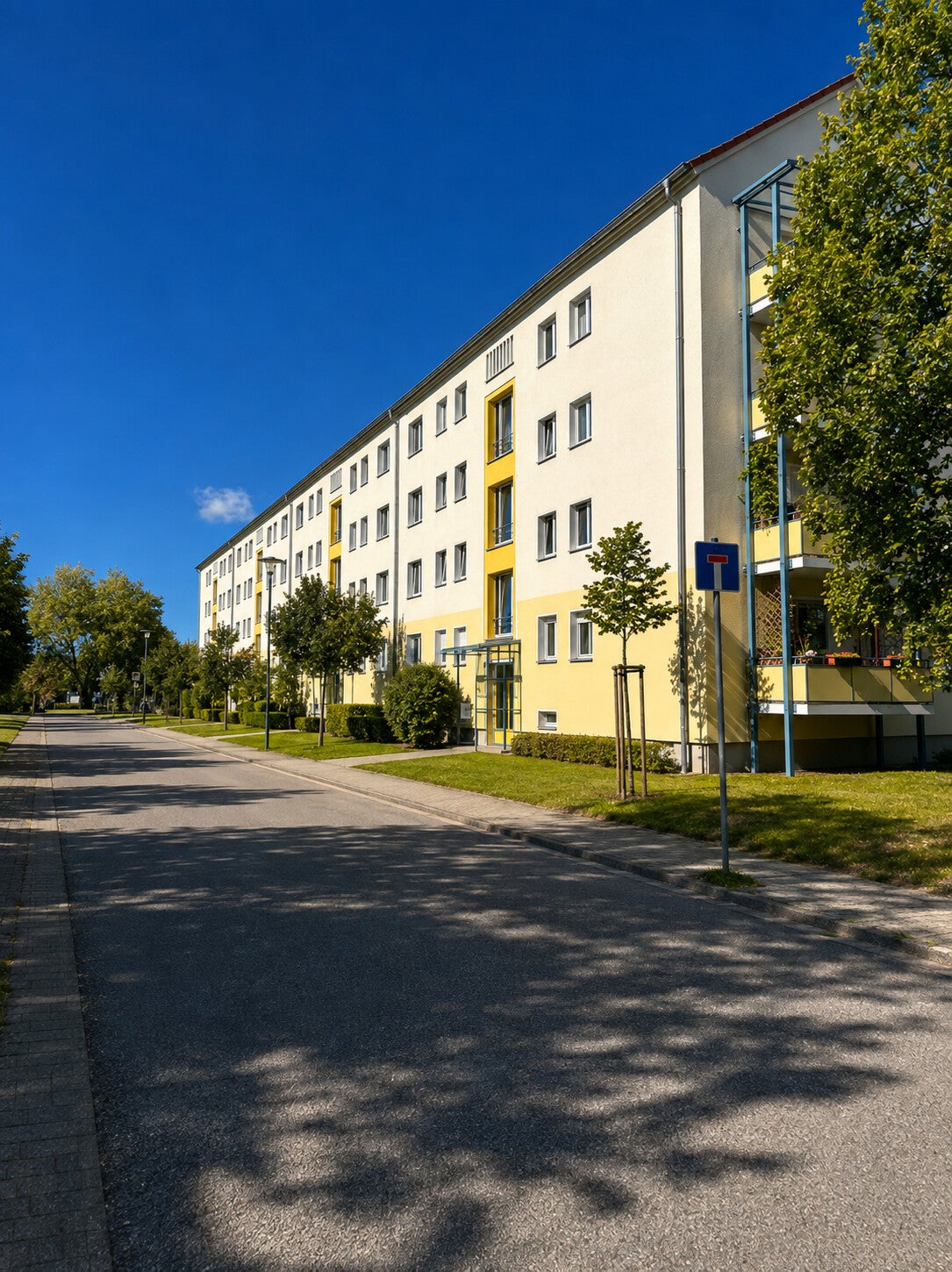 Wohnung Gohrischstraße in Dresden