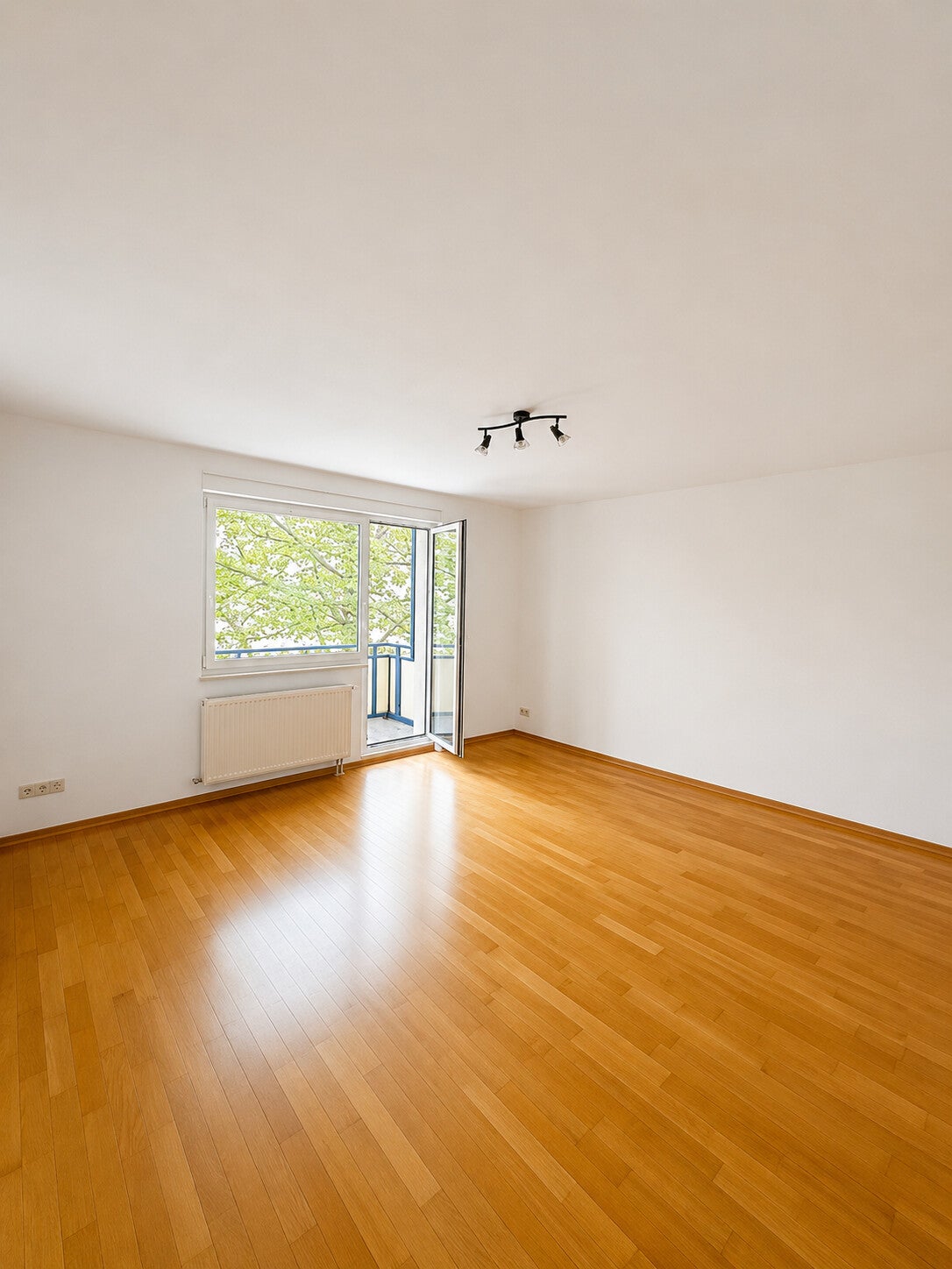 Wohnung Gohrischstraße in Dresden