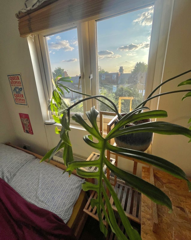 Room Holbrook Road in Greater London