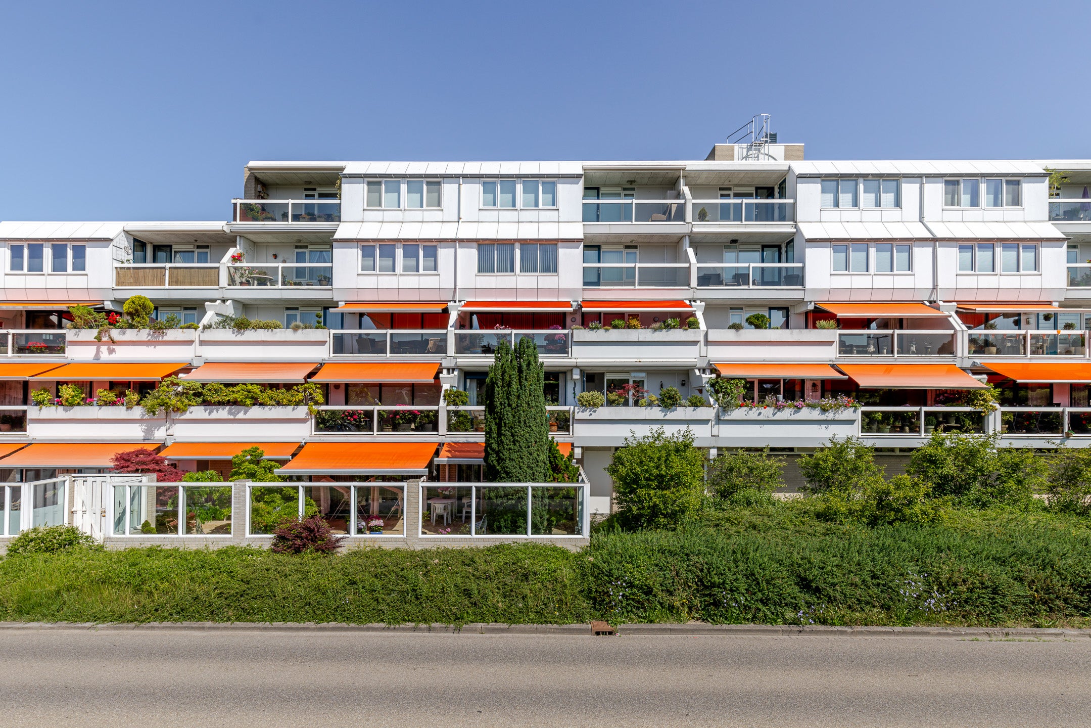 Appartement Hermanus M H Coenradistraat 39 in Schiedam