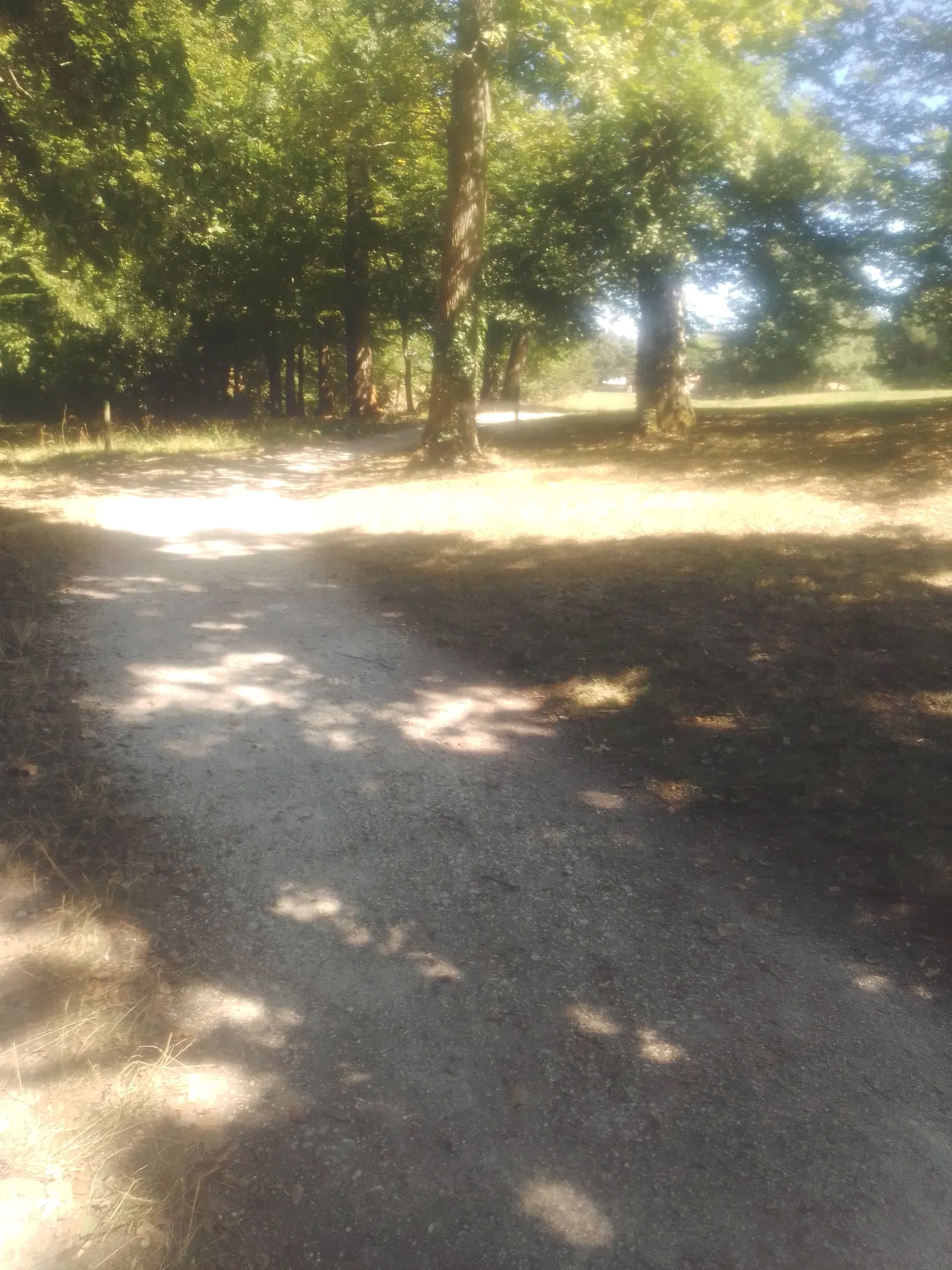 Chambre Avenue Gay-Lussac à Artigues-près-Bordeaux
