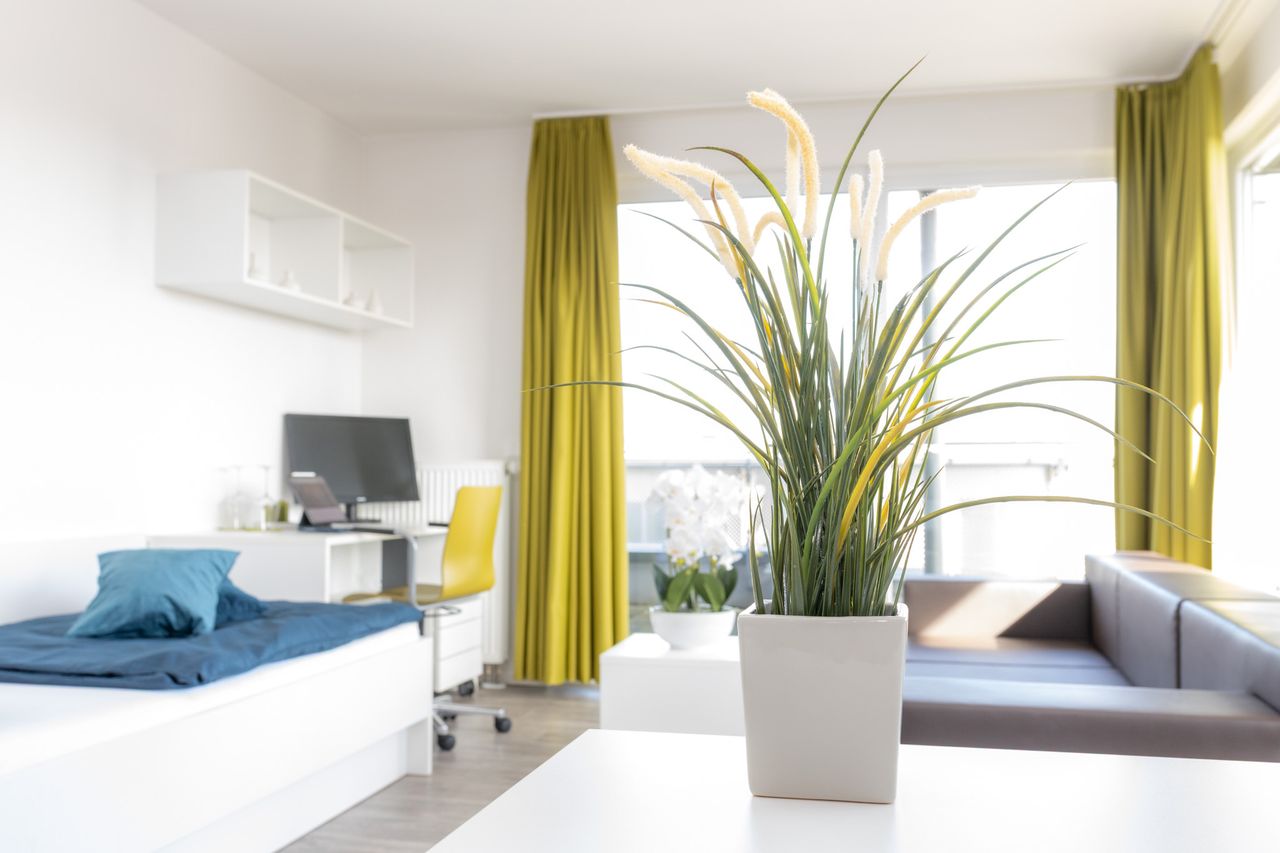 Wohnung Horstweg in Potsdam