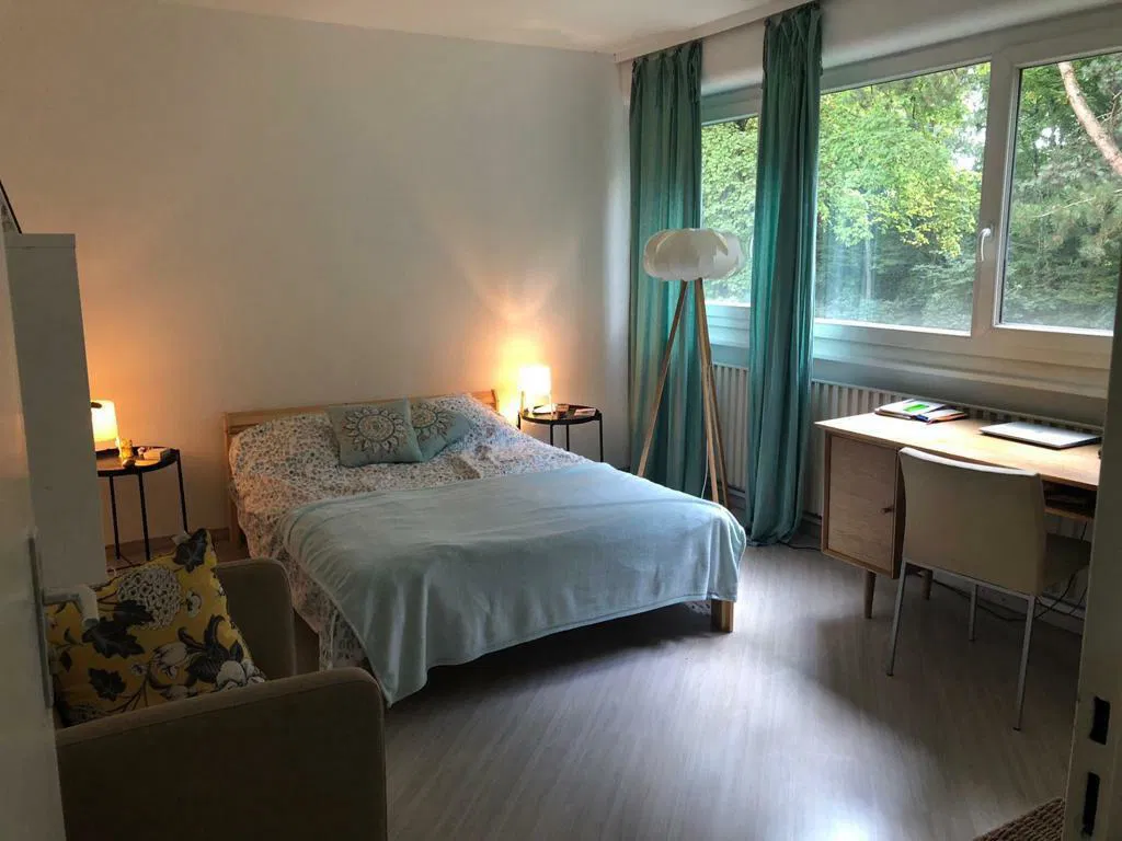 Chambre Rue de Meyrin à Ferney-Voltaire