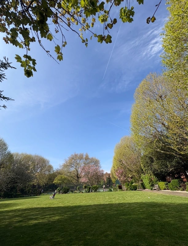 Room Queen's Club Gardens in Greater London